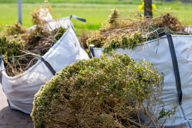 Best Shed Removal  in New Glarus, WI